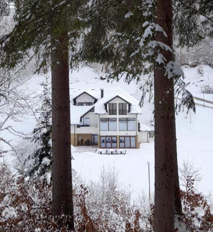 Zlatarska Dolina Acomodação com café da manhã Nova Varoš Exterior foto